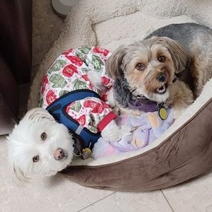 Meet your Posher, Janice